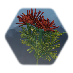 Joseph's Coat (Amaranthus tricolor)