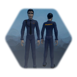 Security Guard