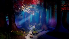 A Nightly Forest Stroll