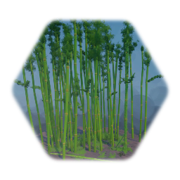 Bamboo