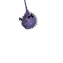 Lil_BonEspo