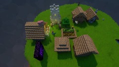 Minecraft village showcase