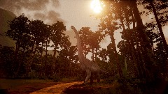 The jungle path (part4)