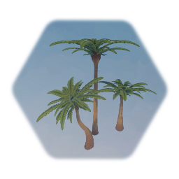 Palm Trees