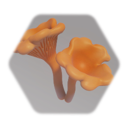 Cinnabar Chanterelle Mushroom