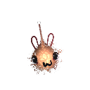 FishKillerTX