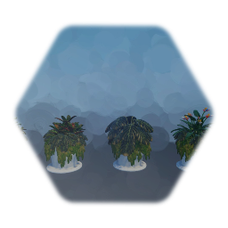 Tropical Potted Plants