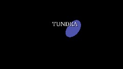 Pingu.SWF TUNDRA