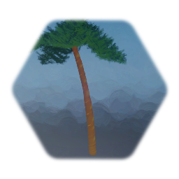Palm tree