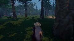 Shinobi Forest Showcase