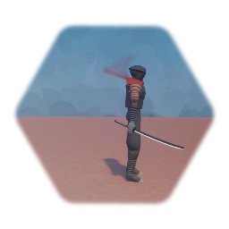 Ninja project
