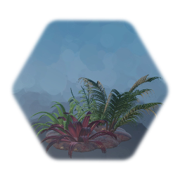 Assortment of Tropical Plants