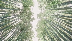 A screenshot taken in Dreams. 11 of 25.