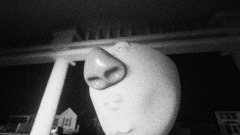 My ring doorbell recorded this at 3:00pm