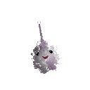 Pegus