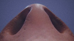 A screenshot taken in Dreams. 10 of 11.