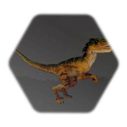 The Utah Raptor