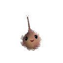 AvrinPozer