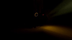 Tall thing in the trees