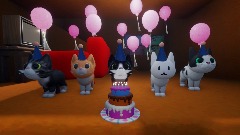Cat birthday party
