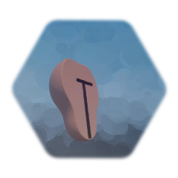 Coronal Section of Uterus