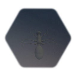 Black Ant