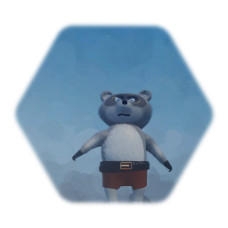 Racoon WIP