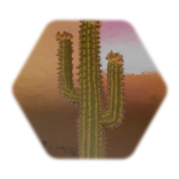 Blooming Saguaro Cactus
