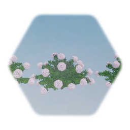 Limelight Hydrangea Flower