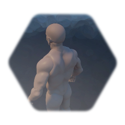 Anatomy male base