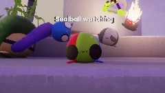 Sealball watching