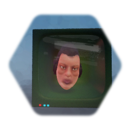 Face on Monitor