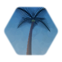 Palm Tree