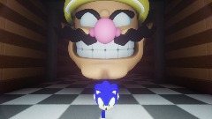 The Wario Apparition Sonic Edition
