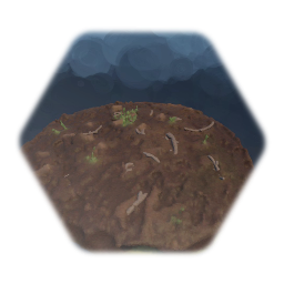 Forest dirt&grass