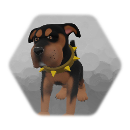 Get Inspired: Perfect Pets