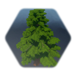 Green Pine Tree