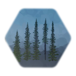 1 sculpt Sub alpine Fir Tree