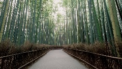 A screenshot taken in Dreams. 5 of 23.