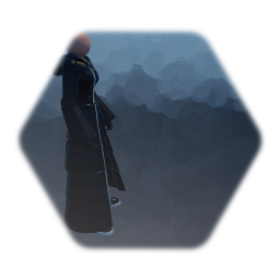 Organization 13 puppet base