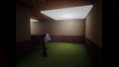 Aranea Membri footage