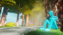 Forest trail