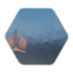 Lungs