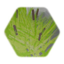 Cattail reeds - 5/26/2020