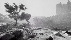 The black and white collection