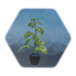 Tobacco pot plant