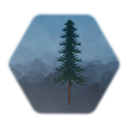 Pine tree