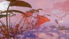 Dream With Me