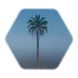 Gameplay Freindly Medjool Date Palm