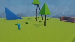 The forest